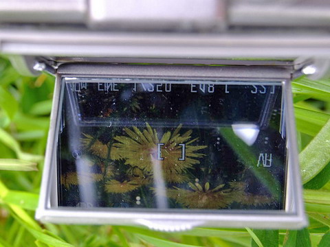 etsumi_display_mirror_etsumi-2.jpg