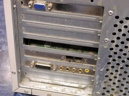 Mouse_1