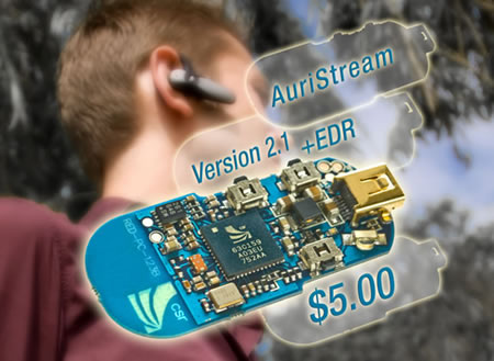 bluevox2.jpg