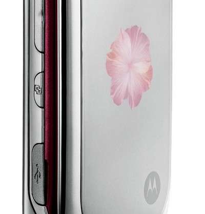 Motorola_PEBL_Rose_Bloom_1
