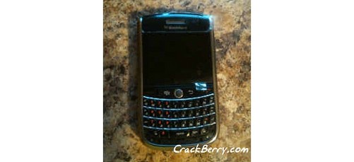 Blackberry-niagara-9630