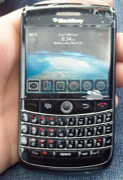 blackberrydriftwood-leaklg1 blackberrydriftwood-leaklg1