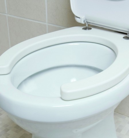 toilet