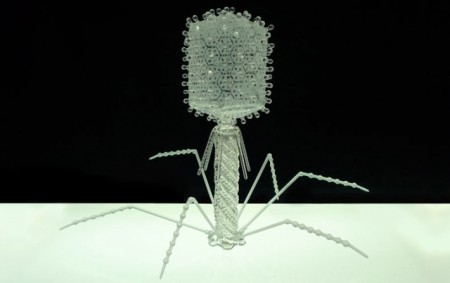 T4Bacteriophage T4Bacteriophage