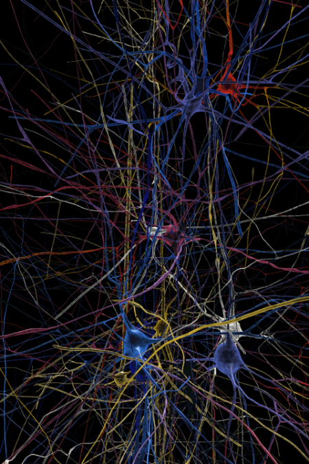 Blue Brain Project Blue Brain Project